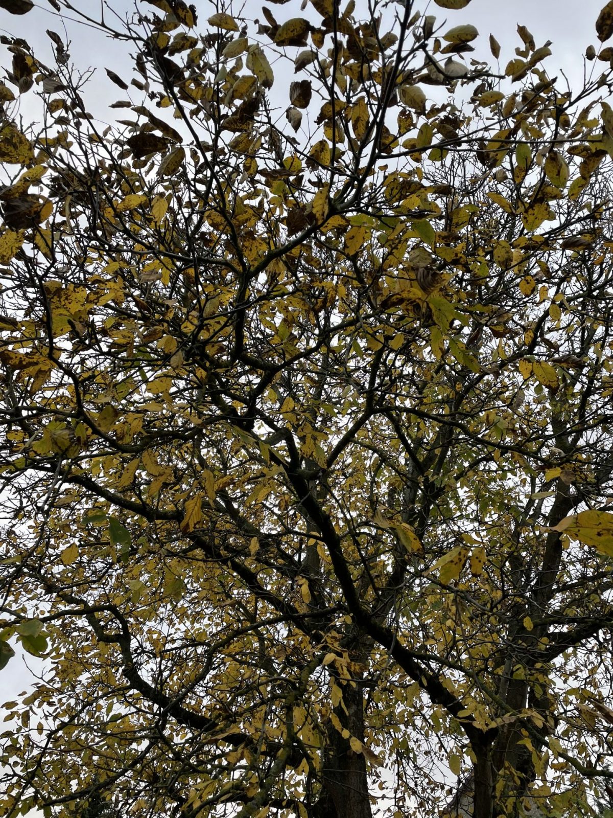 D70487D3-3C86-4C6F-ADA9-C50AA9520EAE