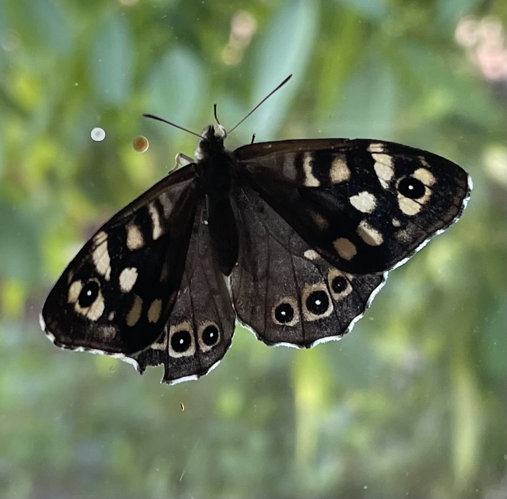 D73E7B78-9FDA-4893-8602-BB66BB1D9ADA