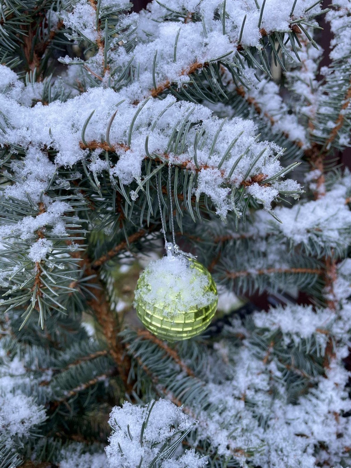 D7689011-B6EA-4419-900E-E0BA67E21DA4