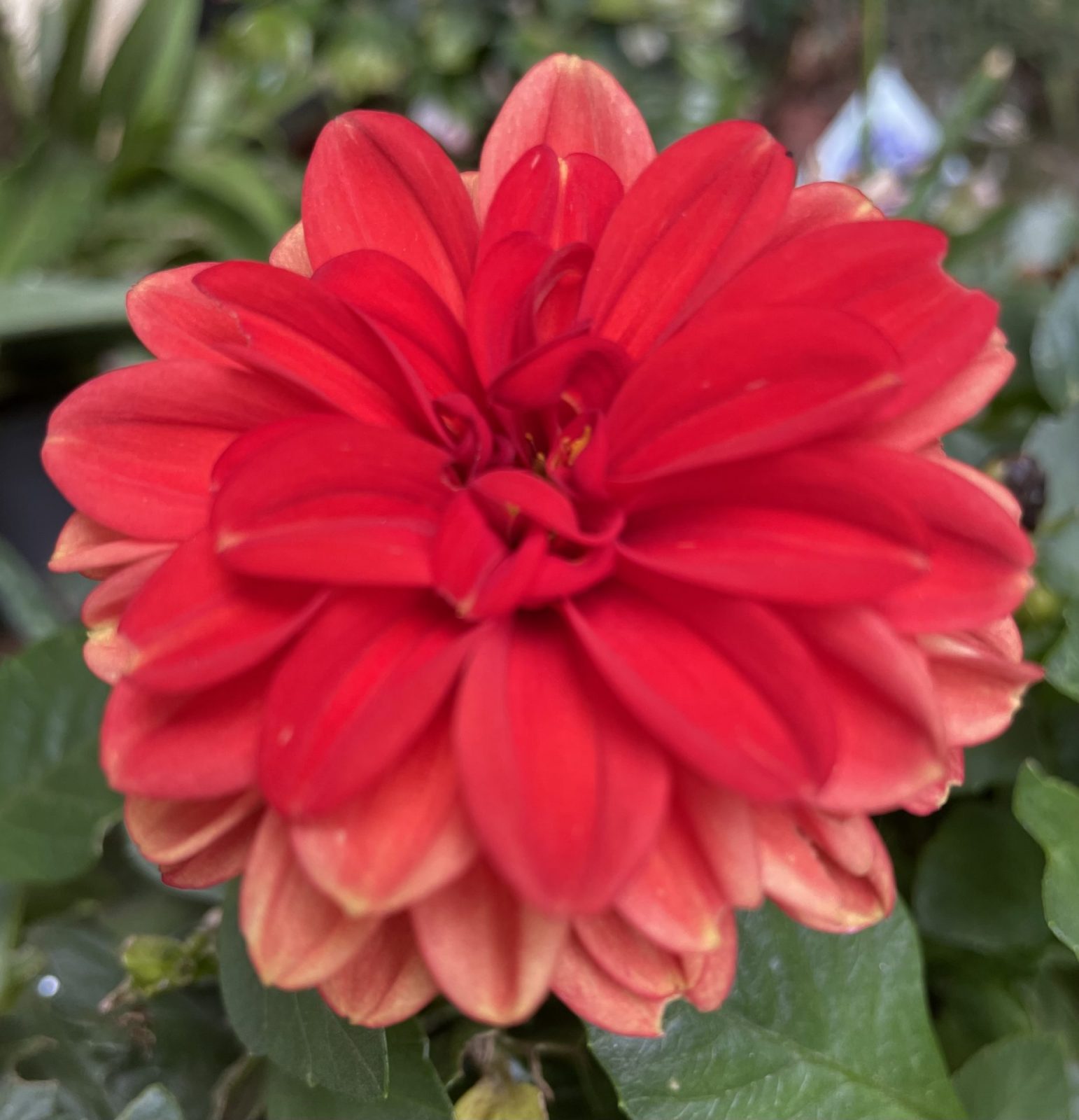 D77CA065-E3A4-4A29-B7A1-60ABD17688E9