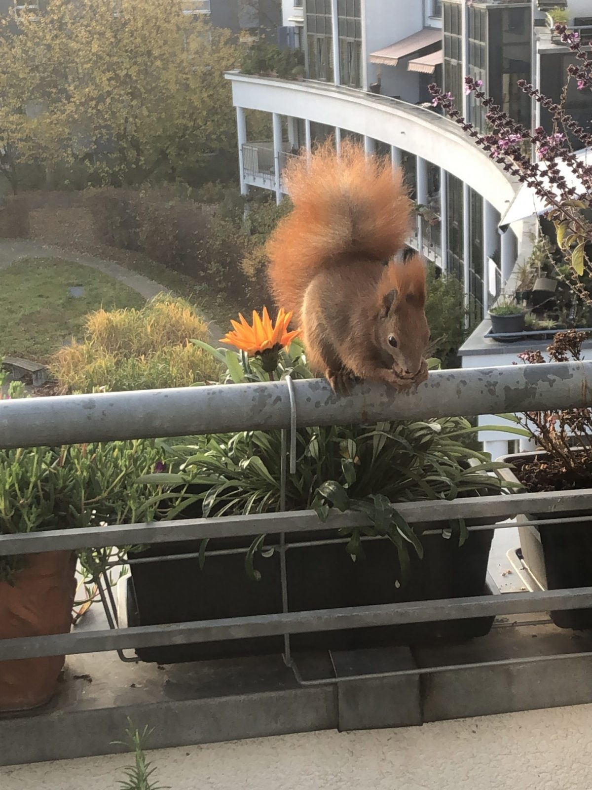 D7950BD5-3334-47CB-92C6-8FB064A57297