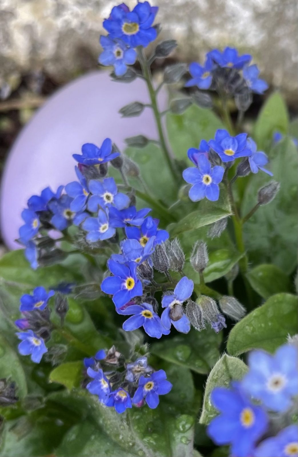 D7BF5AAF-8652-4BA0-A2AA-CE184E82AA46