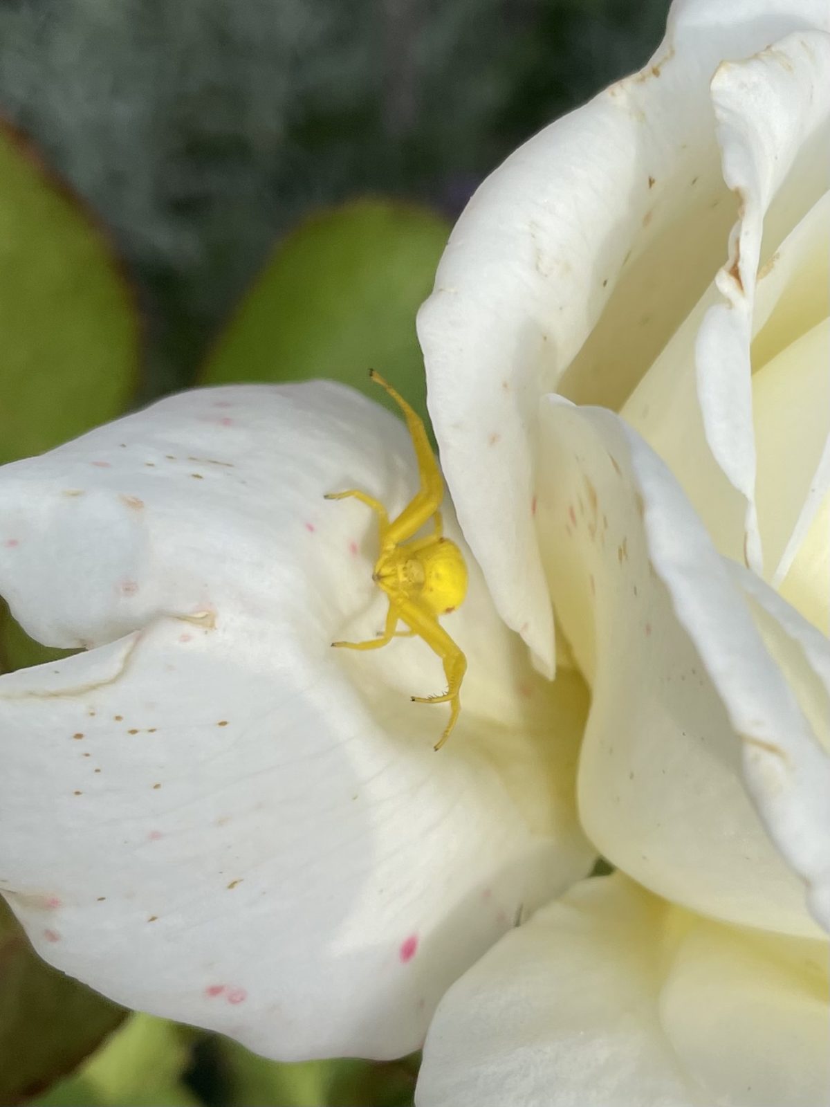 D7C2D5FB-0BA2-4307-BF0D-E8FC979C87F2