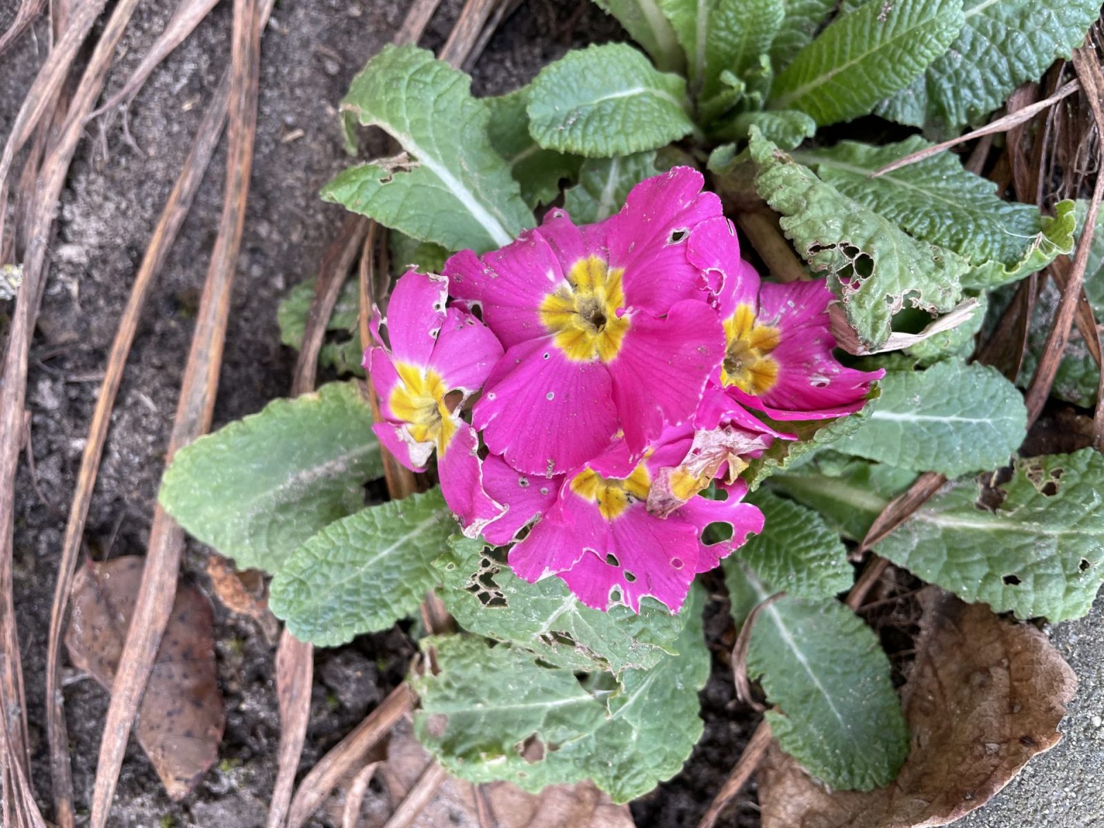 D84915E9-E878-467F-9C58-B4D9992C9967