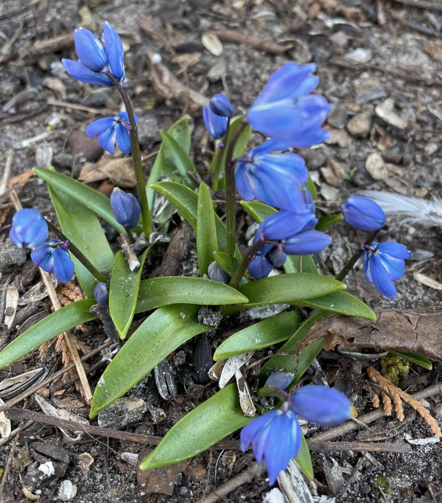 D8834134-0569-45AE-806B-3F76E3ED8AE7