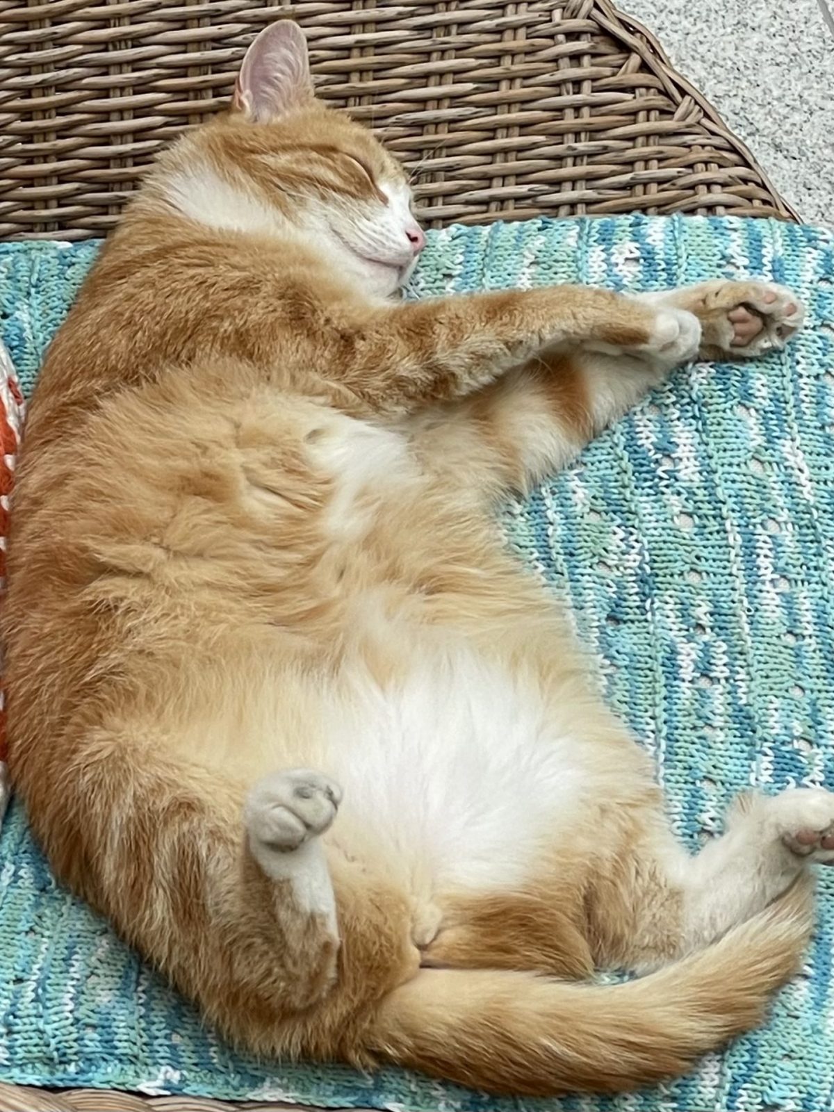 D8AEF5A6-9179-4057-87F8-35A3490824E0