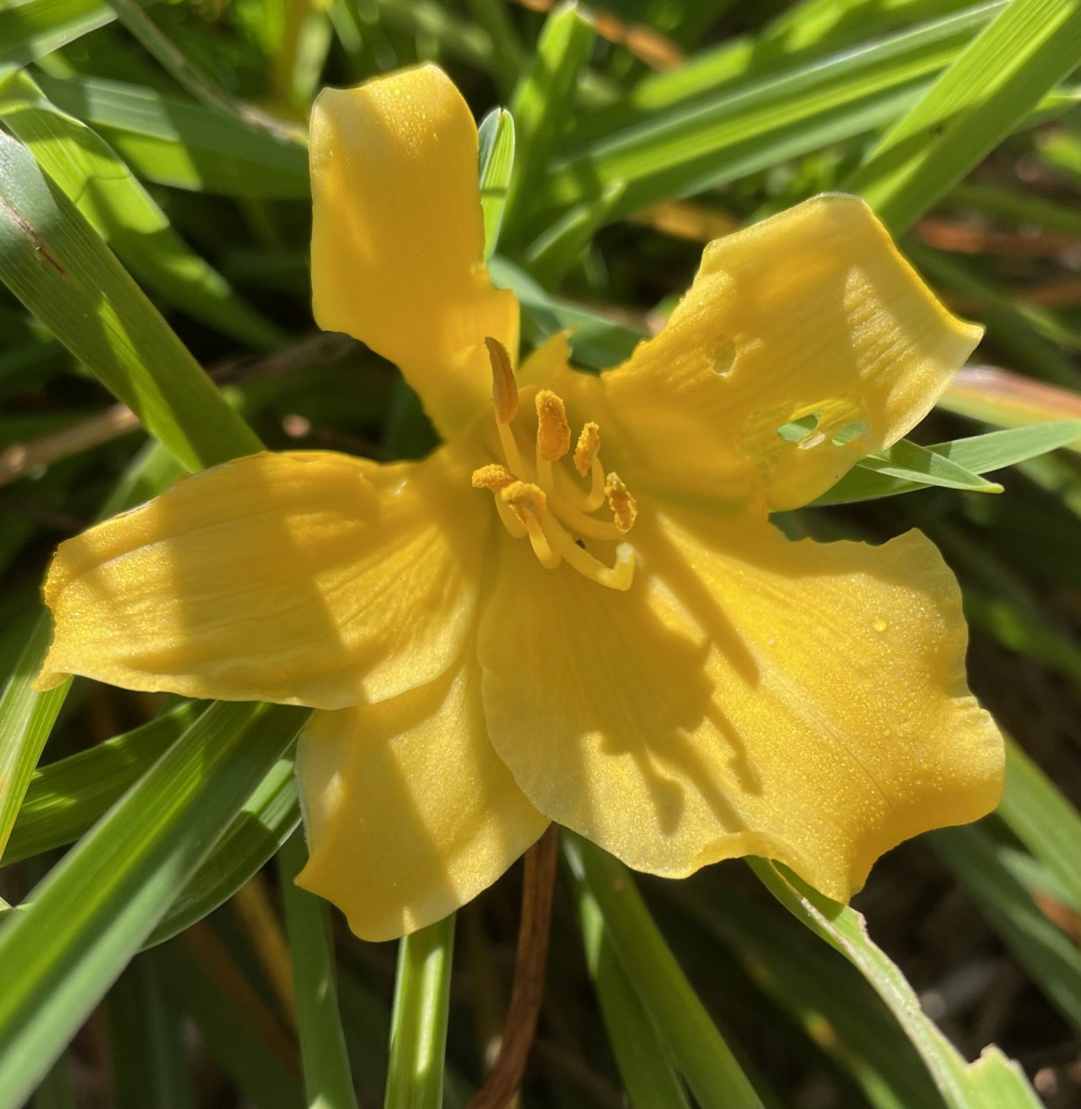 D90D0C6D-26EE-4031-86BD-06D4FB975817