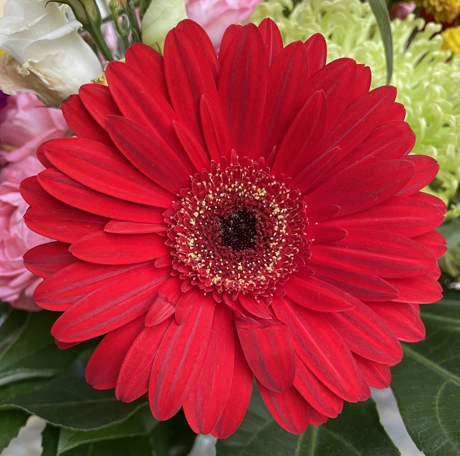 D921397E-AB9D-4C43-B611-0DFFC47520B2