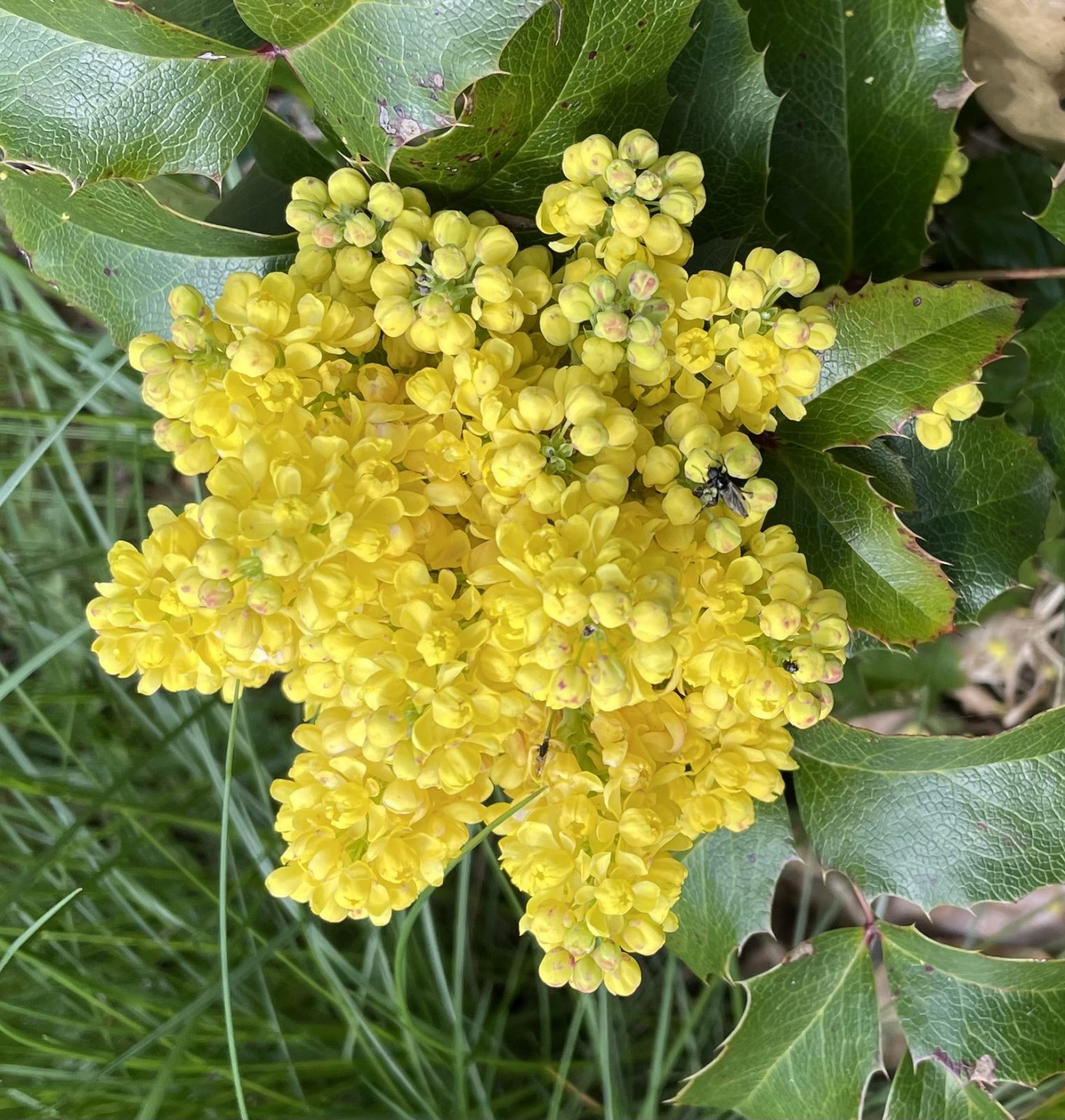 D9A0E8D7-232A-4A53-BEB3-CADCBDB555A5