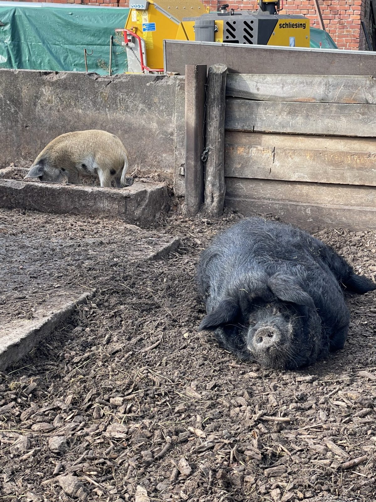 D9E84CB5-2861-42A8-B17C-1301DFB8BAF7