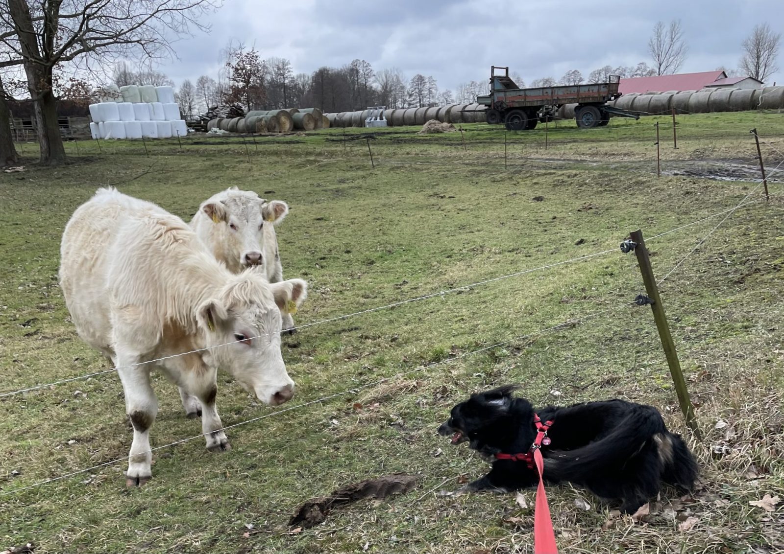 DA1375E2-9539-43E9-8DCF-B16D33917164