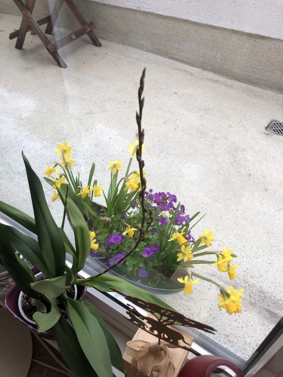 DA6C916D-D456-48FE-8F3C-0456F703D27D