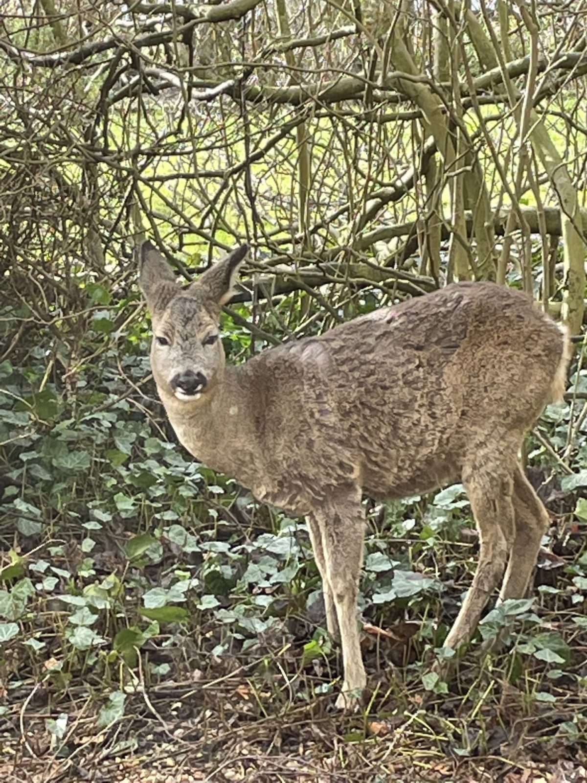 DAD3B330-5D12-4669-9FCF-C54227A9BC89