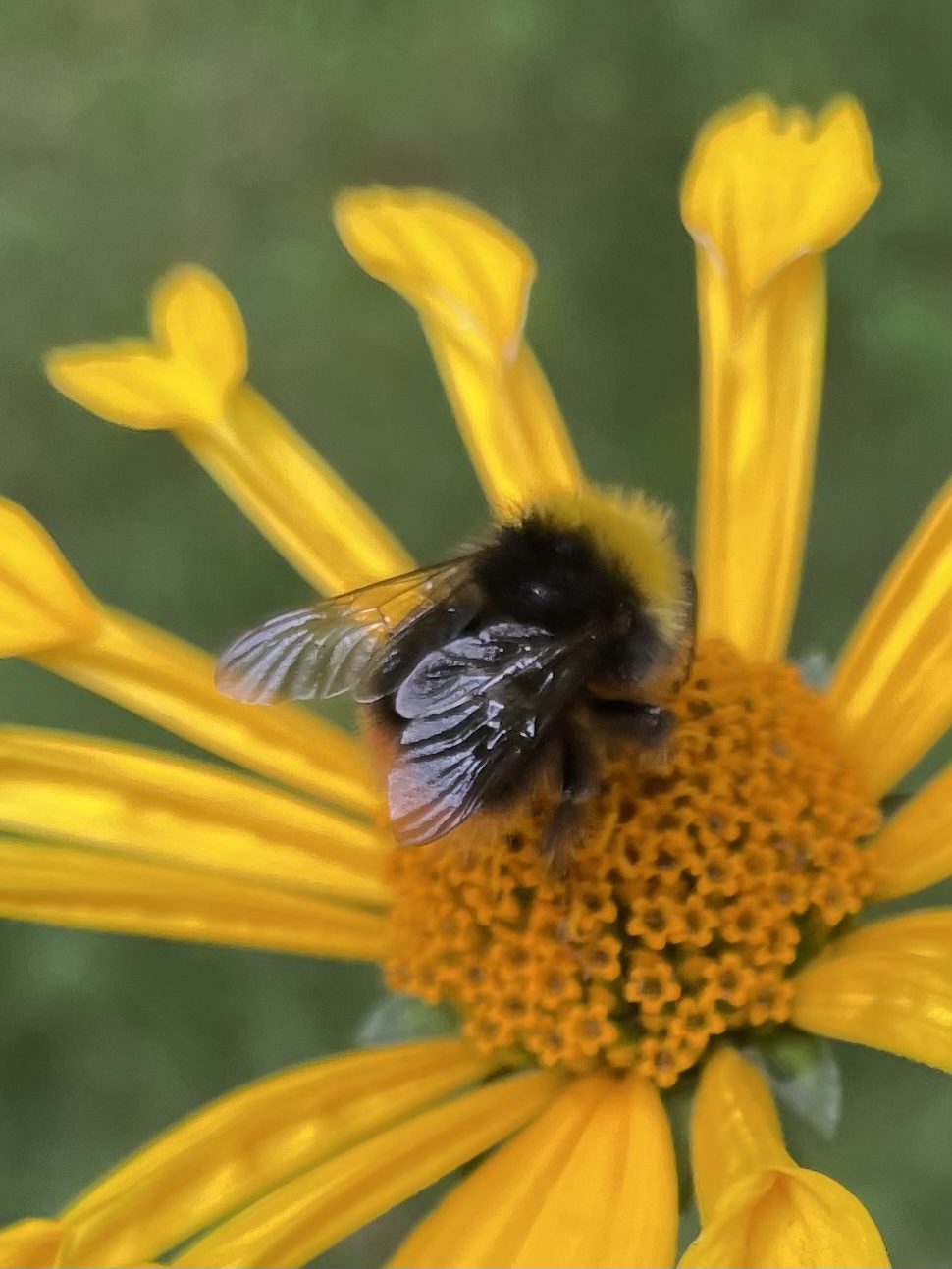 DB81FFF6-92DC-441A-ADCF-A92A7DC9D1E2