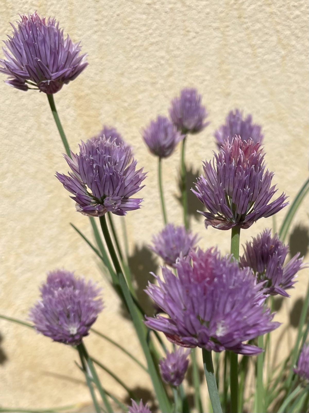 DB89FE4F-A762-4AFD-80EB-166401E52861