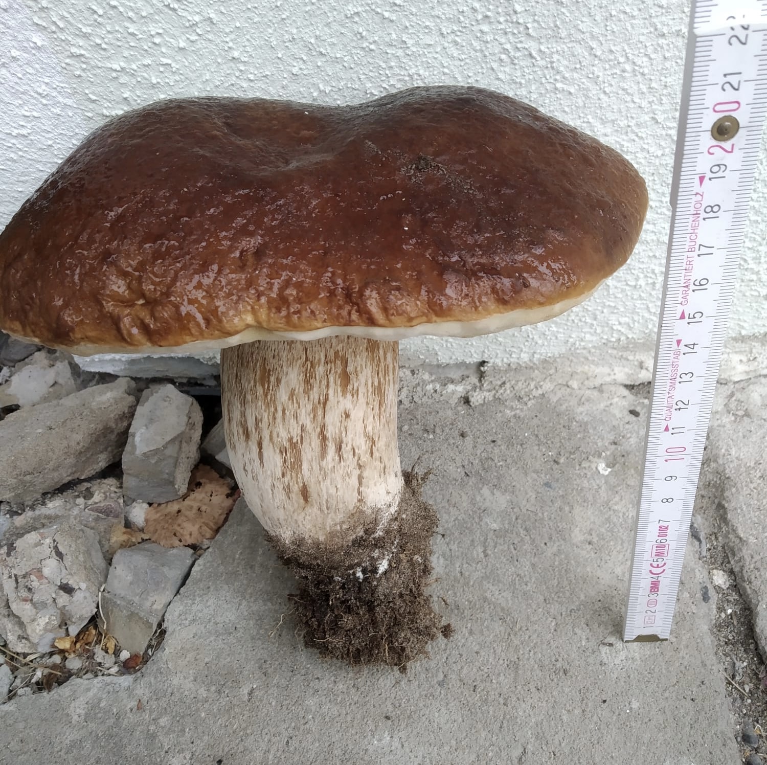 DBCAA5AF-6170-452E-A6FD-63D0B757F840