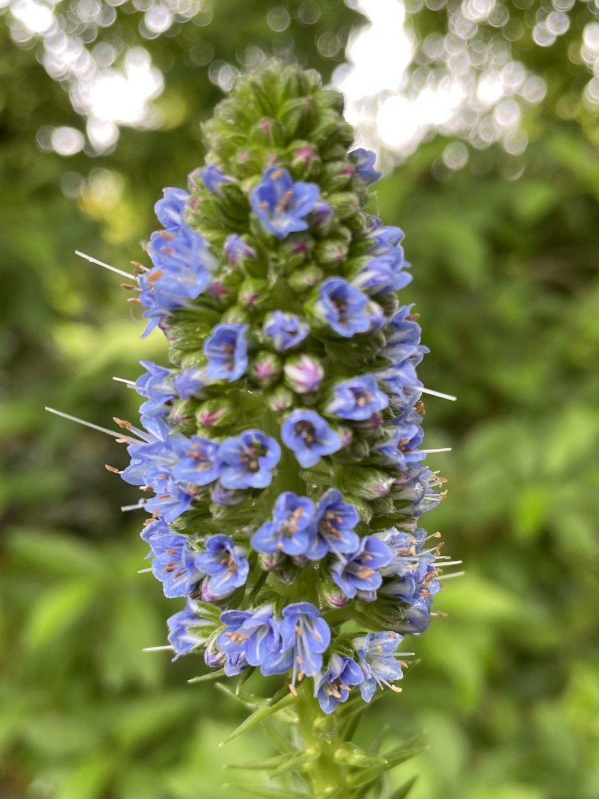 DBE1D238-3096-4F0A-B31C-E05C0B6123B6