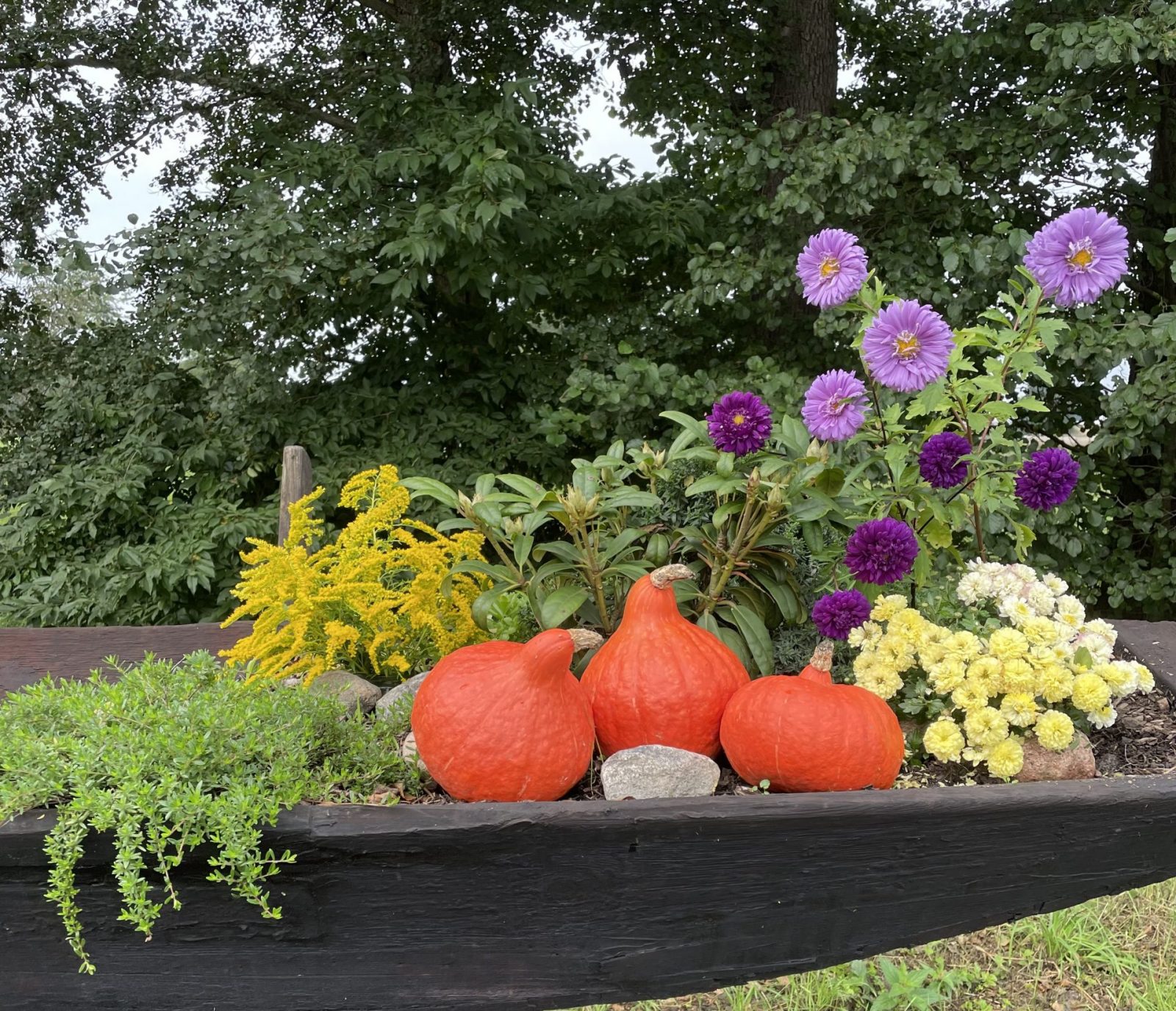 DC142C33-3AC7-4FC4-947C-5423AD8C1D53