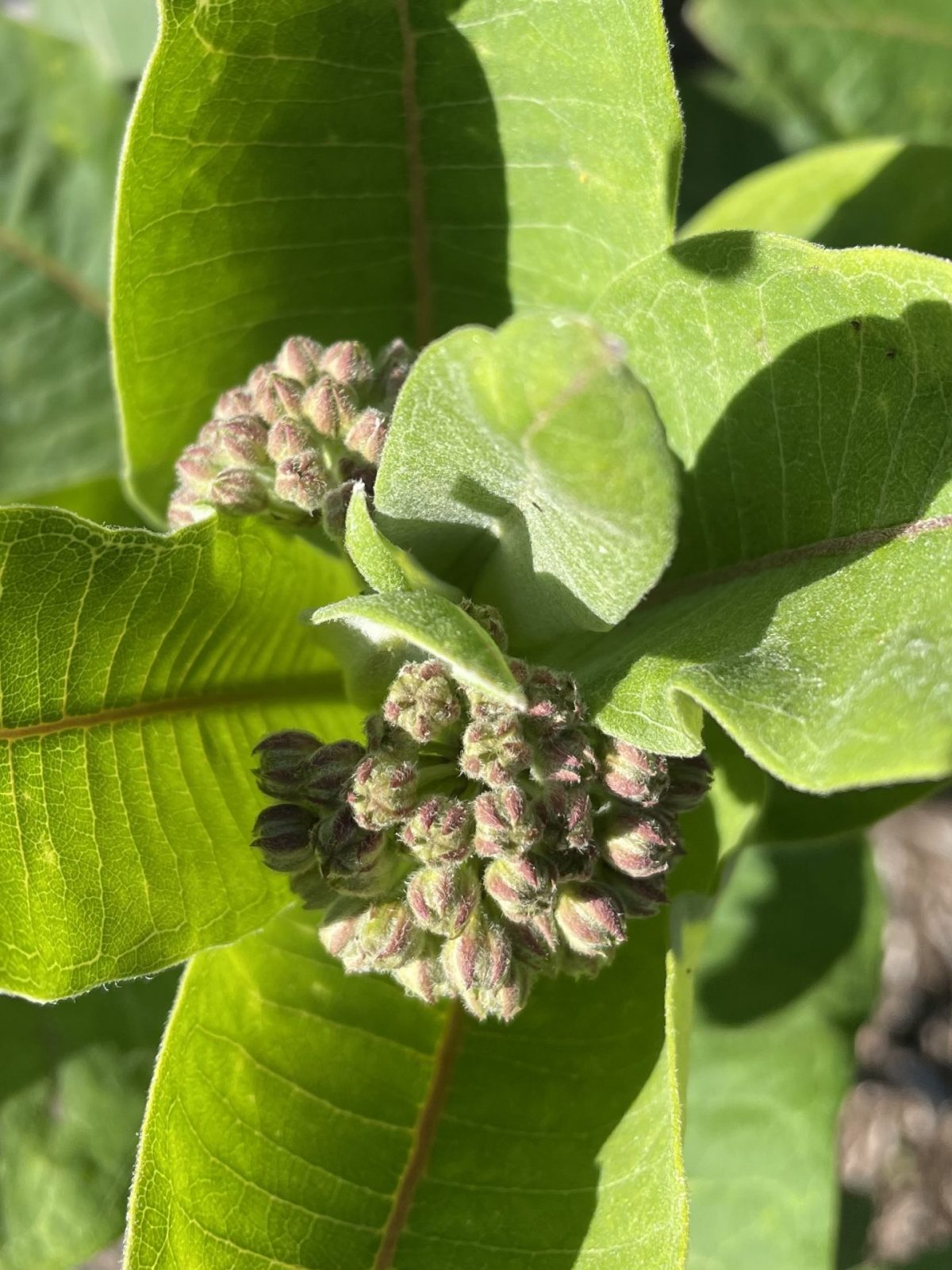 DC7FCE75-8D95-41E8-85AA-F26A4F496B94