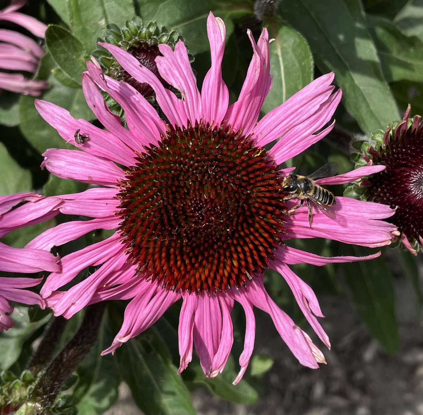 DD0E5F9C-DF65-494C-9C04-D4654351953E