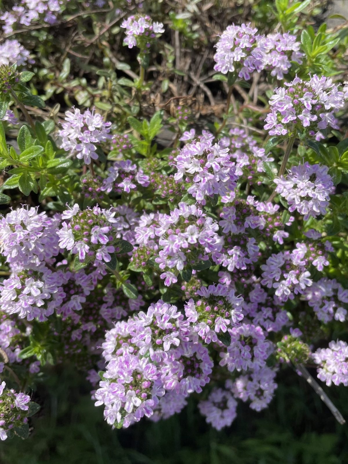 DD2FC04A-5F6F-43F9-AF5A-A863E3A94E07