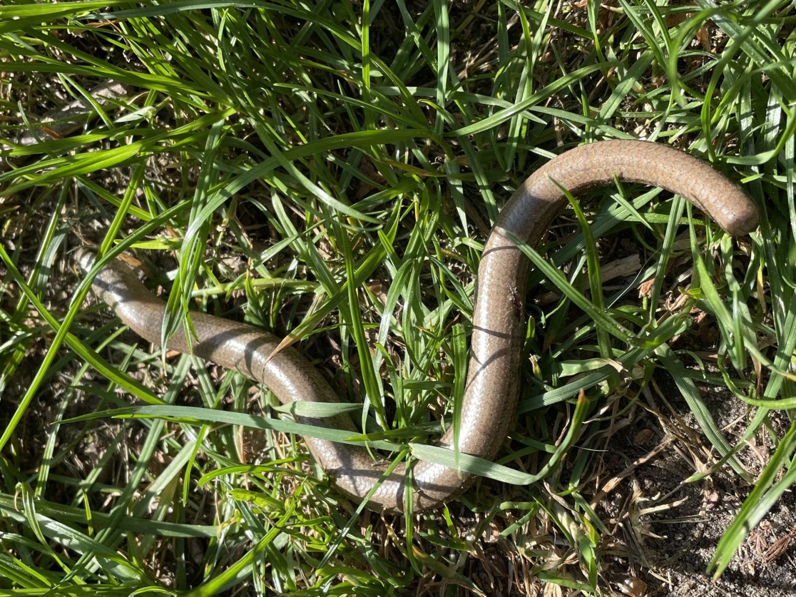 DD32986C-021A-4581-9595-8CABCAF459DA