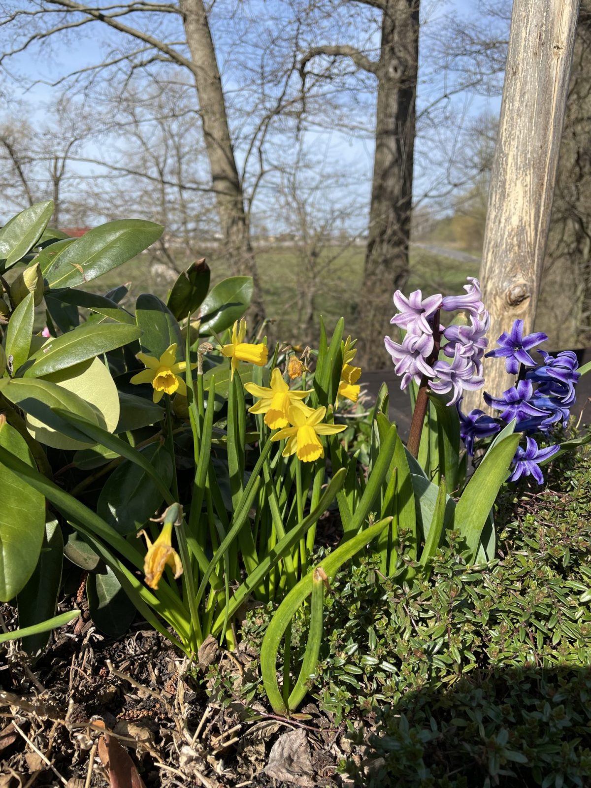 DD589557-8C47-4E5F-9161-655292B70388