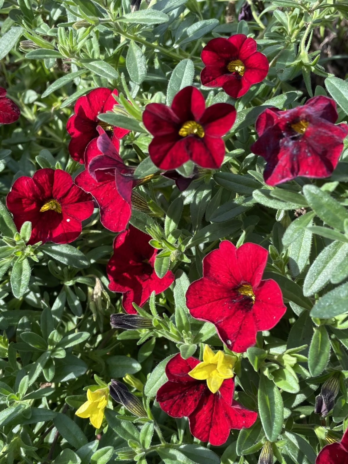 DD961444-F516-4594-821B-C3E32AF69AB5