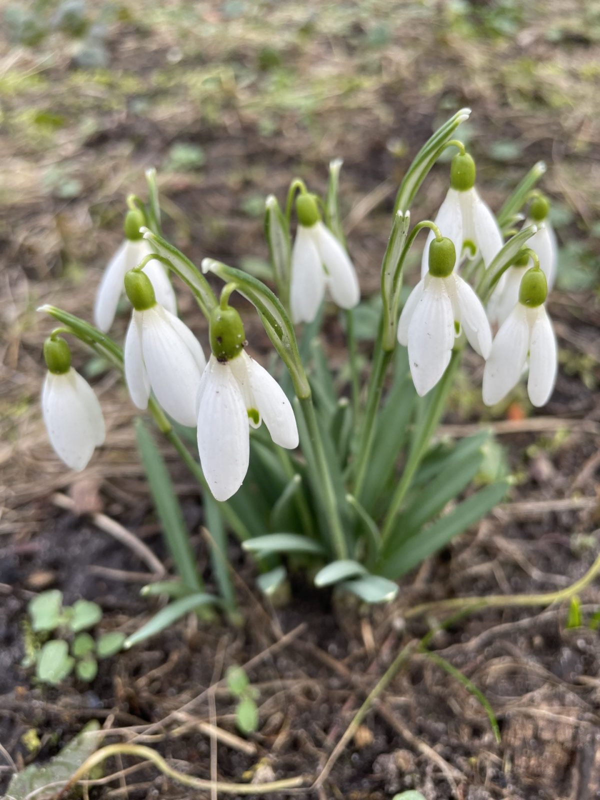 DDB9ACED-A547-4C27-8314-48C983BC1740