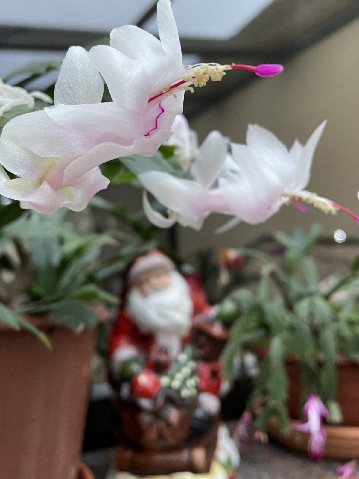 DDC8D7D4-B0E3-42A4-9140-29A81F8A3C43