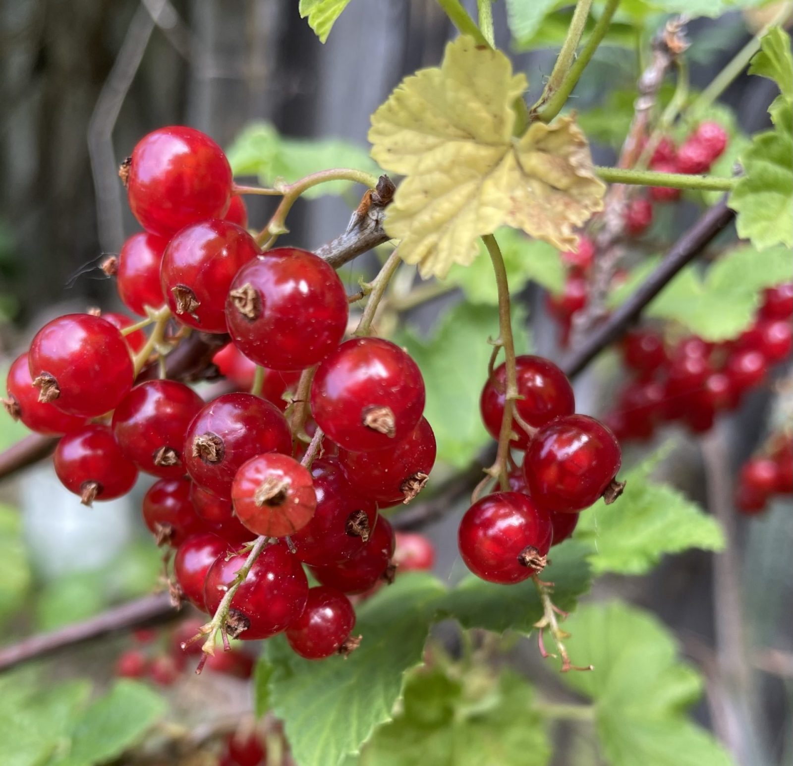 DE0208A9-F1AC-4A1D-8F29-F2D074BCB9AA