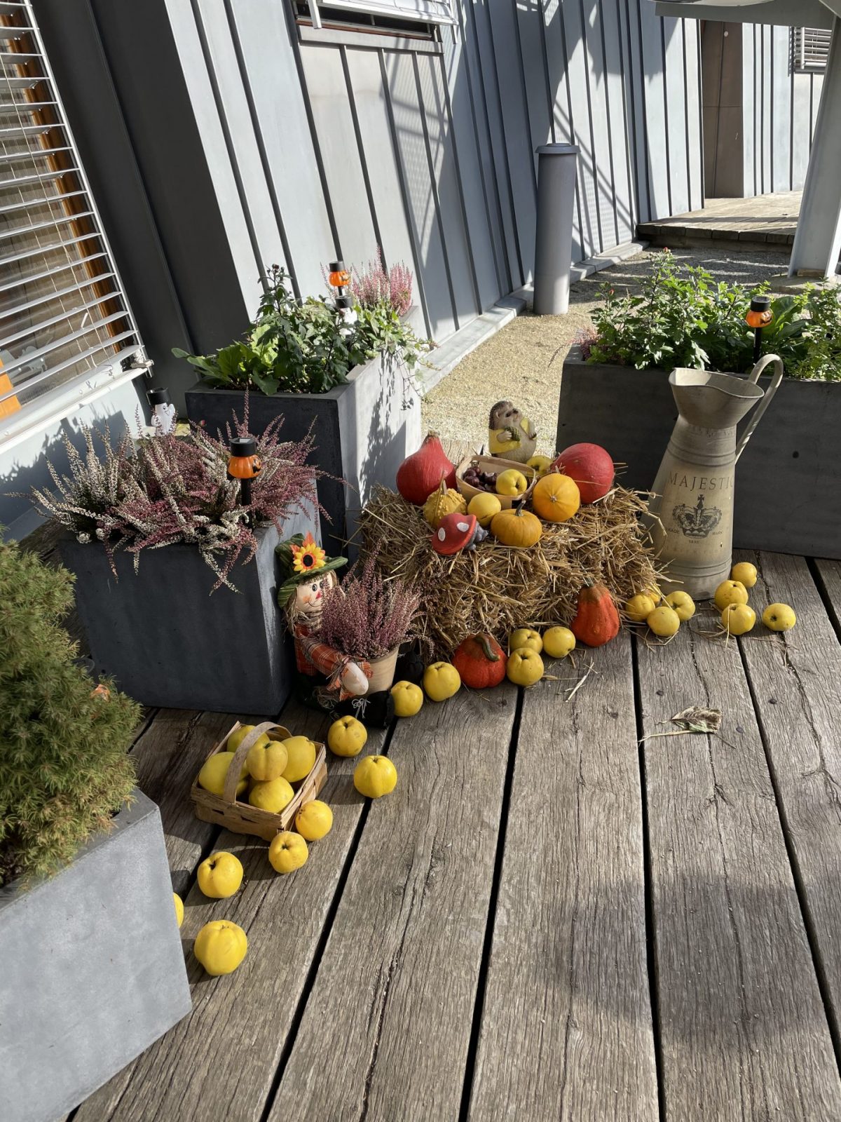 DED099CE-3C3D-41A2-80F8-7D914009CC5F