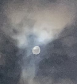 DF2F170D-F693-4231-B19D-0EE6B26DBCD5