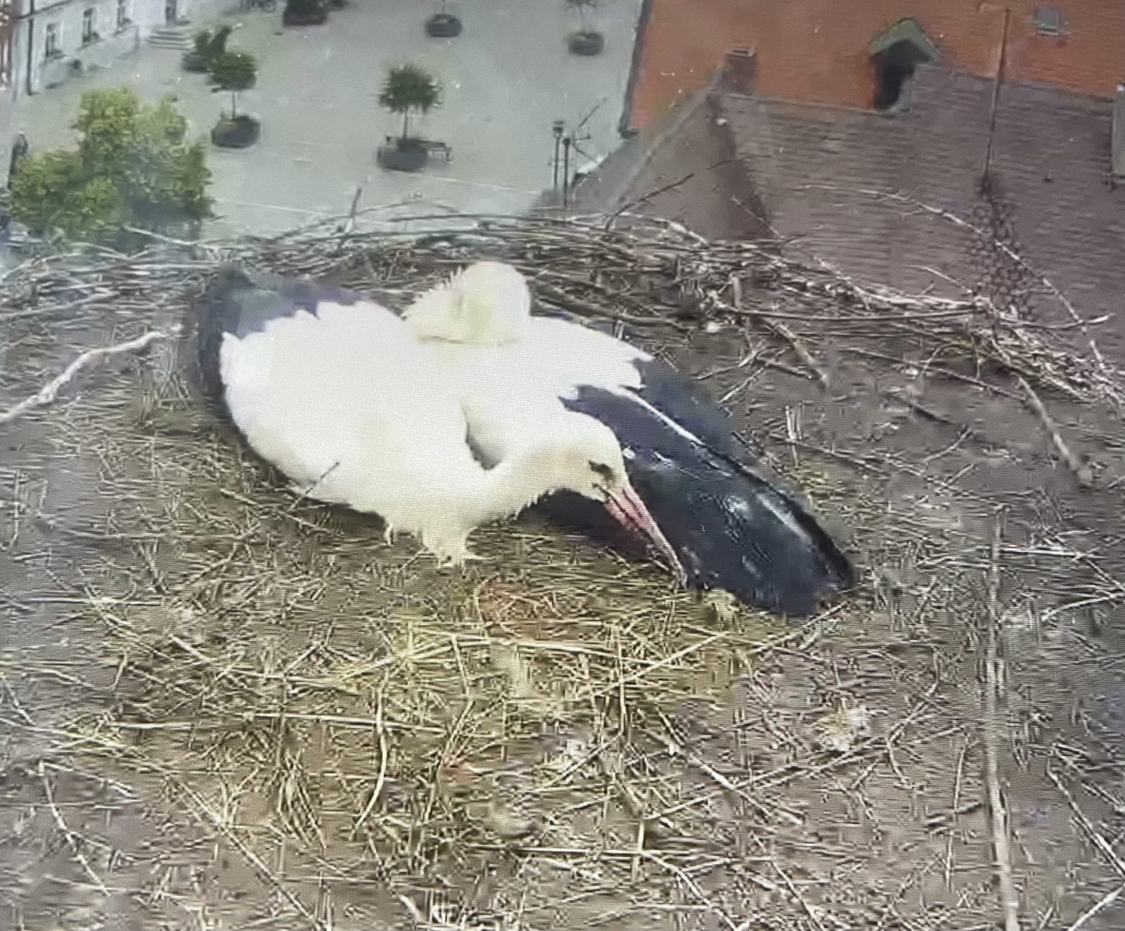 DF4DE685-C1A5-427C-9653-4C09B044034E