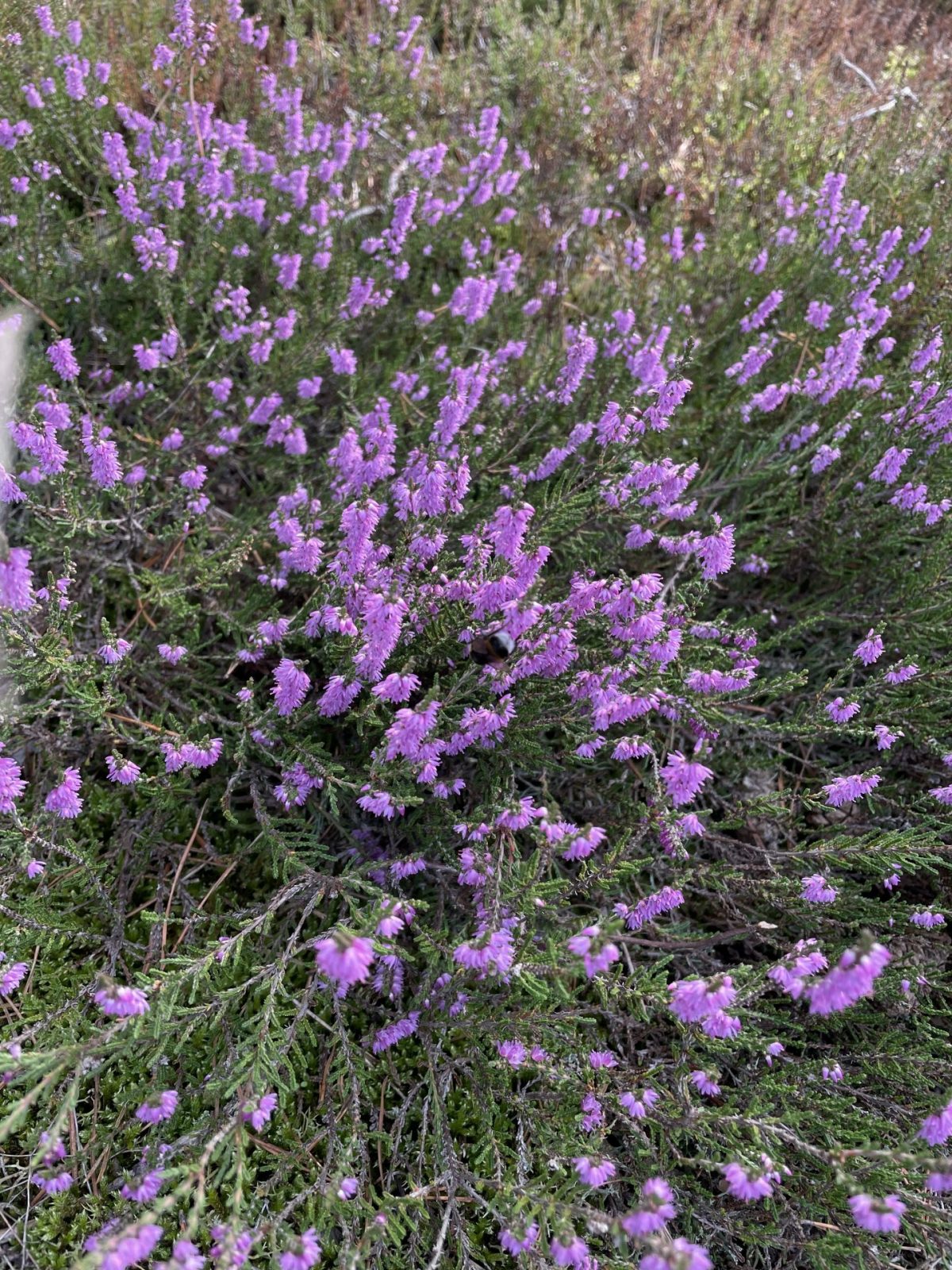 DF9B8212-8DFC-4F36-BDB6-FE23AB4FA854