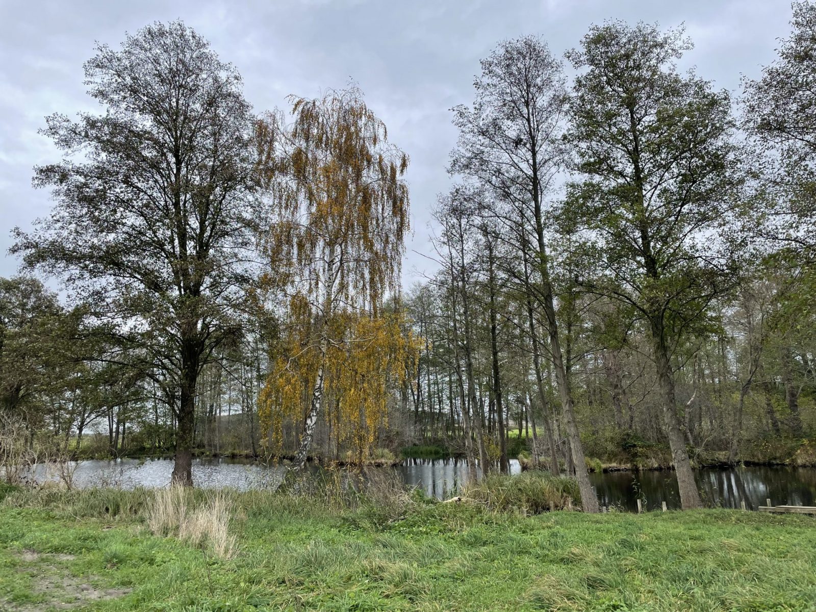 DFE34B93-607C-4929-B08D-C62A1AE581AD