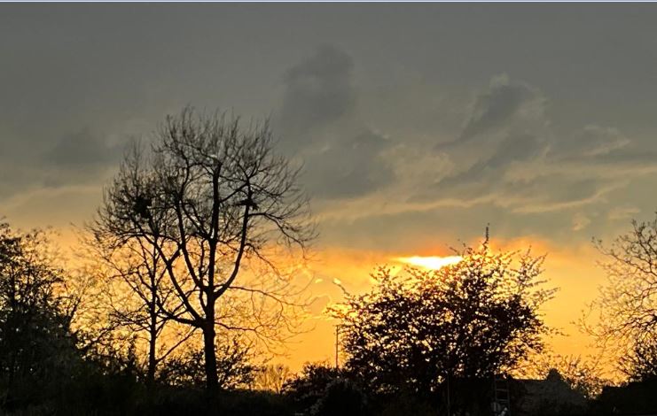 DIE ERTEN HEXEN FLIEGEN