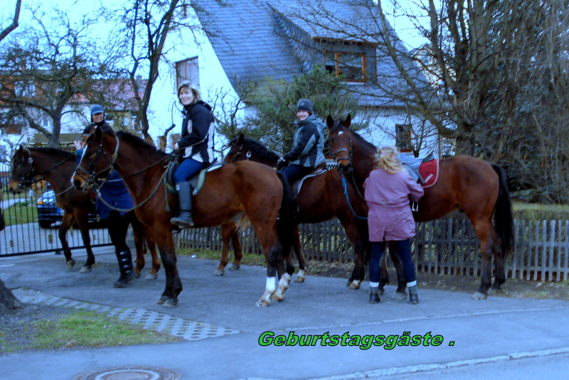 Reiterbesuch beim Docktor gegenüber.
