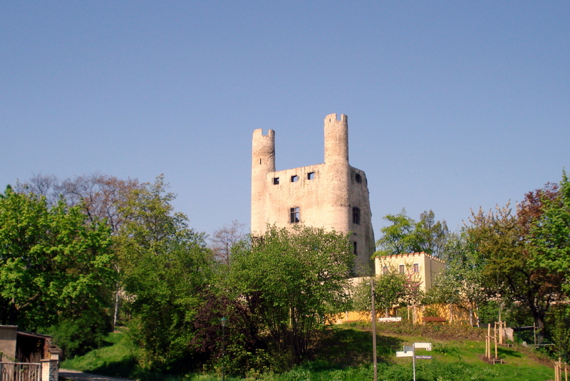 “Hohe Schwarm” Wahrzeichen von Saalfeld.