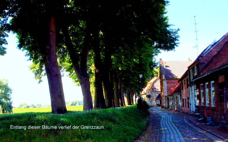 Entlang dieser Bäume verlief der Grenzzaun.