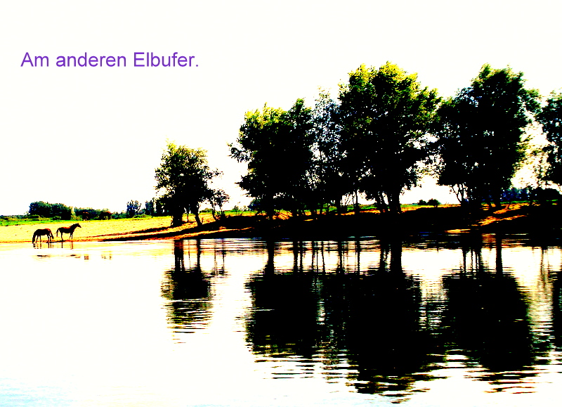 Am anderen Elbufer.