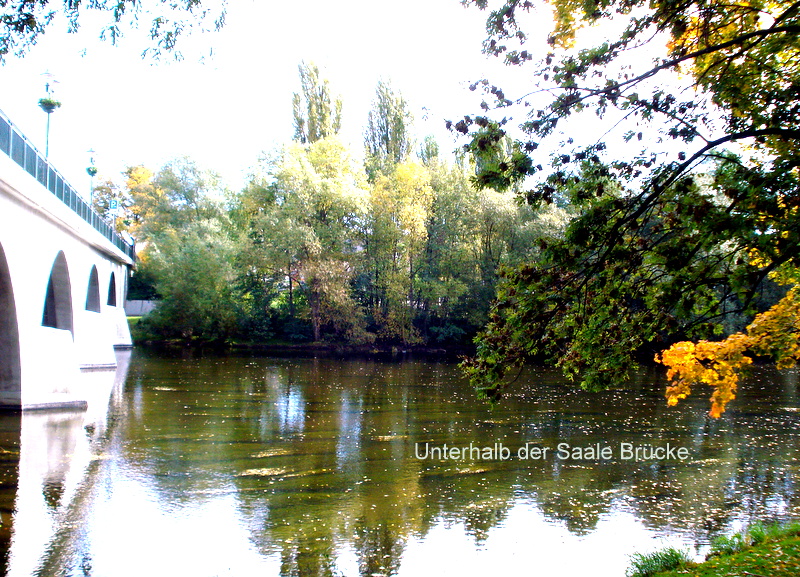 Unterhalb der Saale Brücke.