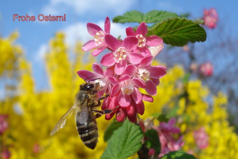 Frühling - Ostern 2009 bei 24 Grad.