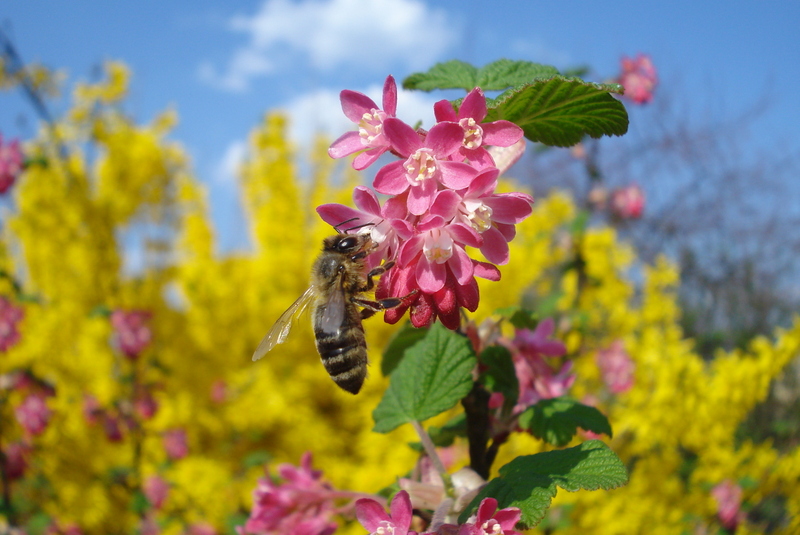 Frühling - Ostern 2009 bei 24 Grad.