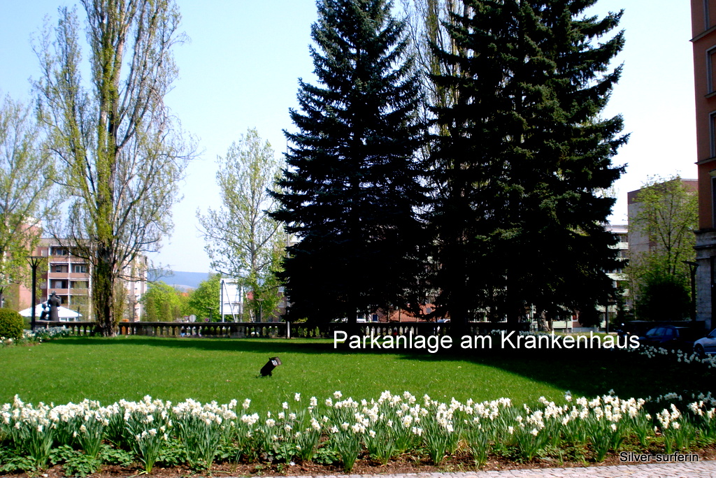 Parkanlage am Krankenhaus