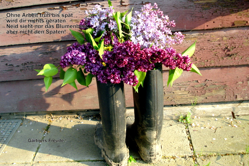 Gärtners Freude !