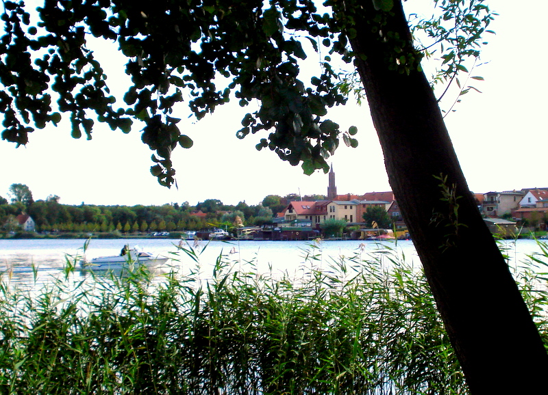 Wasser, Wasser mein Element.