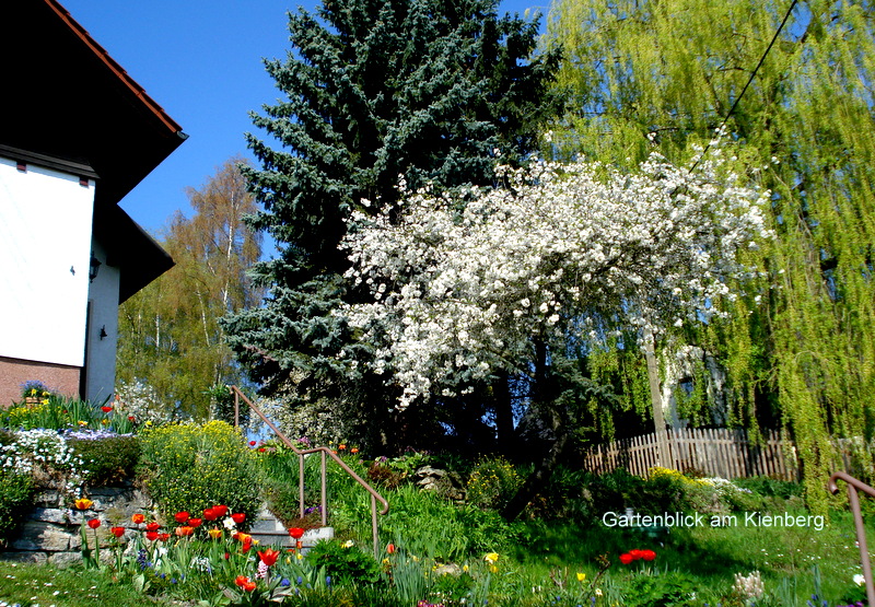 Gartenblick am Kienberg.