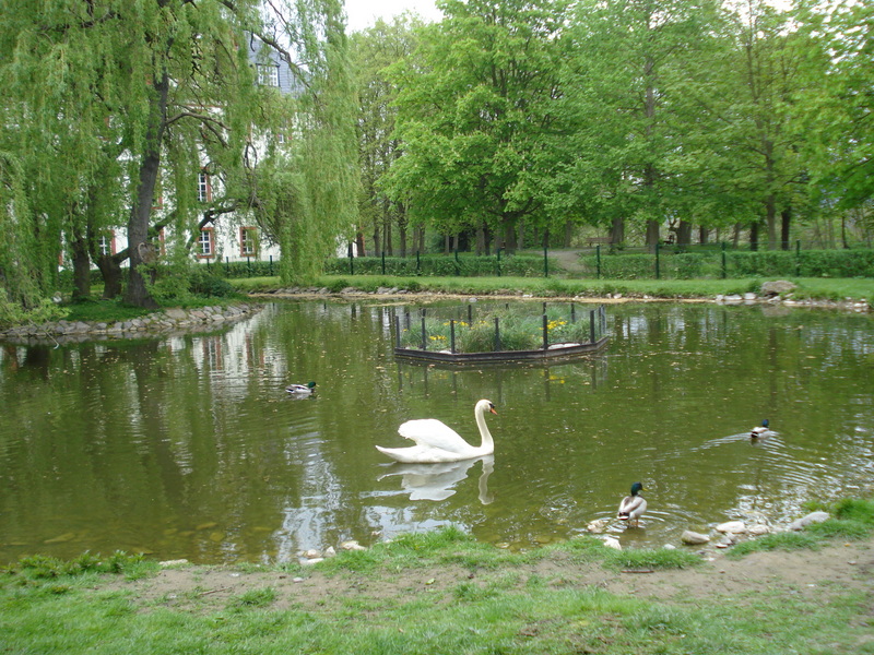 Am 1. Mai im Schlossgarten.