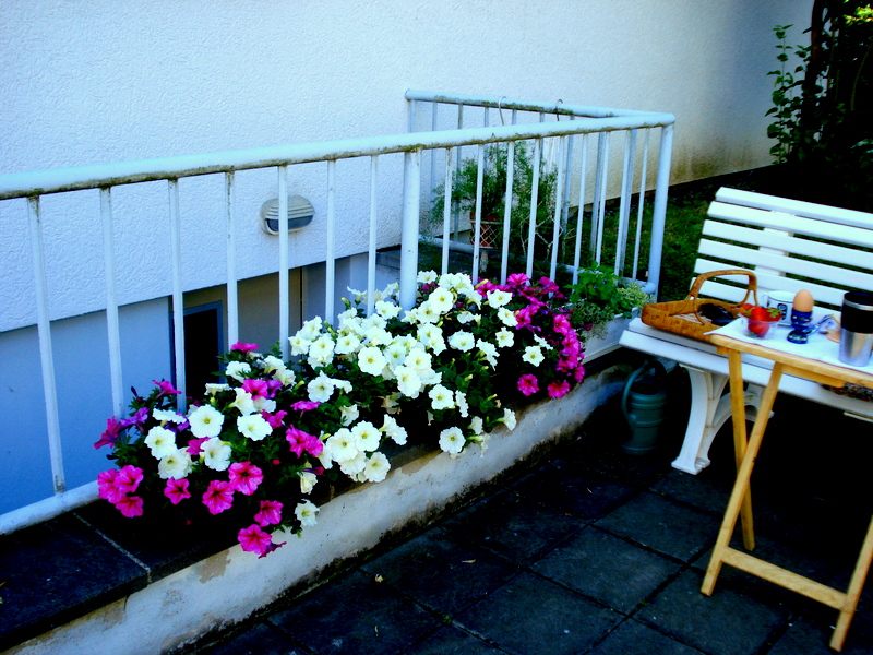 Frühstück im Freien-